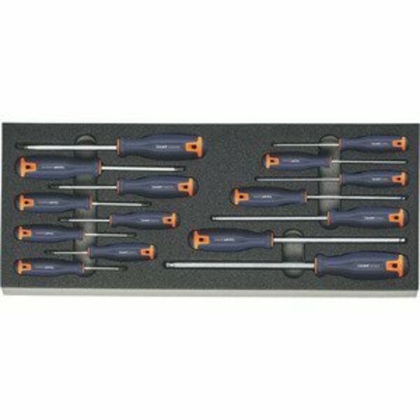 Garant Torx and Ball End Hex Screwdriver Sets in Heavy Duty Foam, 15 Pc 953182 15